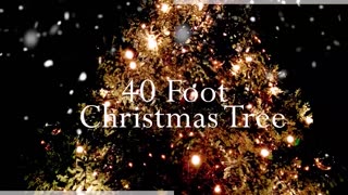 LIVE NOW: CBN News - Because Truth Matters™