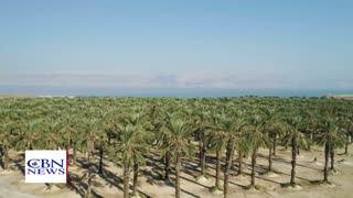 LIVE NOW: CBN News - Because Truth Matters™