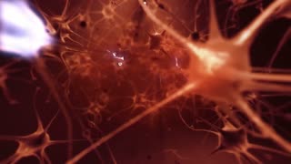 LIVE NOW: CBN News - Because Truth Matters™