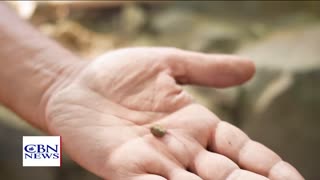 LIVE NOW: CBN News - Because Truth Matters™