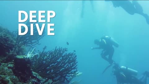 LIVE NOW: CBN News - Because Truth Matters™