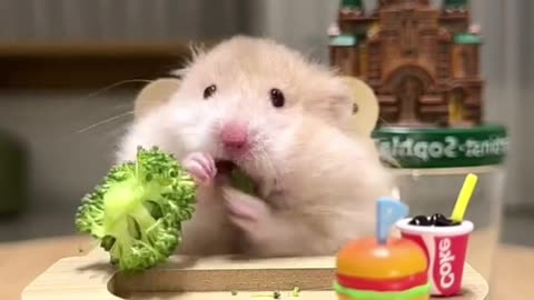 FUNNY EATING STYLE 🤣🤣
