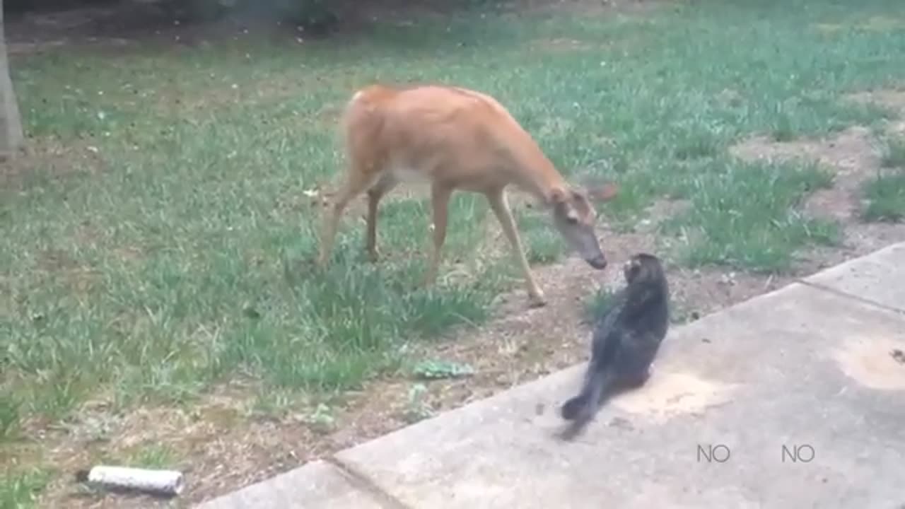 TRY NOT TO LAUGH 😆 Best Funny Videos Compilation 😂😁😆 Memes.