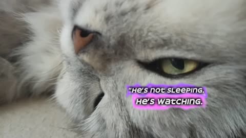 "He’s Not Sleeping. He’s Watching."