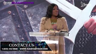 Pioneer Channel LIVE