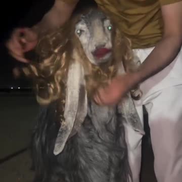 He is very romantic.