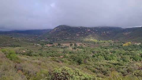 Hiking backyard trails 2 - rainpocalypse