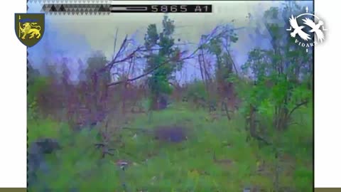 Russian Soldiers Try to Infiltrate Ukrainian Lines Wearing Yellow During "Ceasefire"