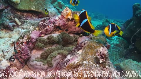 "La Naturaleza Habla de Dios – ¡Siente y Agradece!"