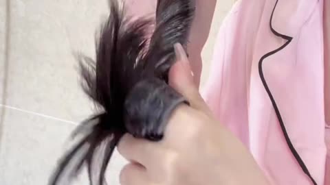 "Best Hair Care Routine 2025 | Immersive Shampoo Experience & Product Recommendations"