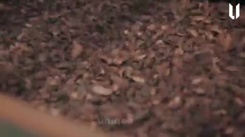 How McDonald's Burger Patties Are Made in Factory | Step by Step Process🍔