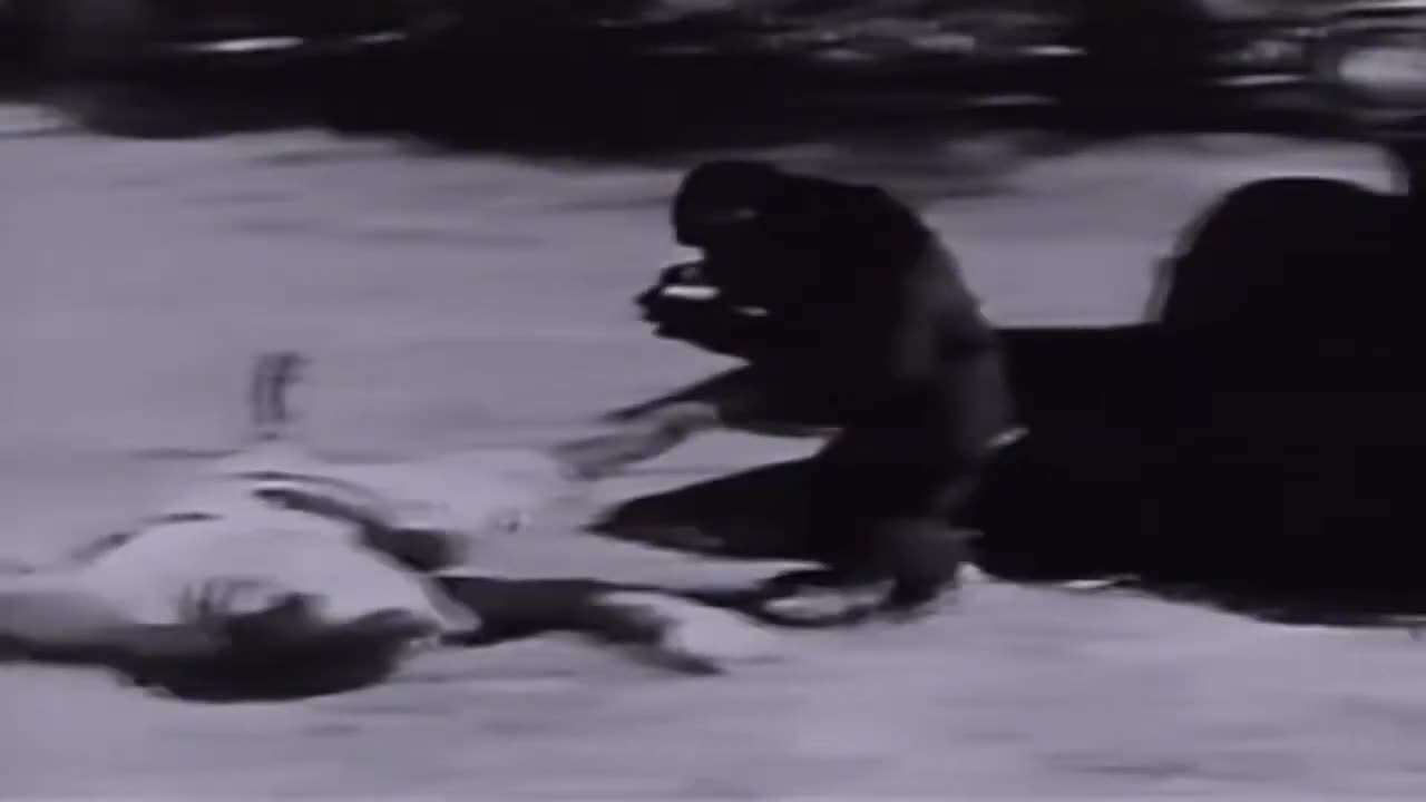 Sheena Queen of the Jungle- episode 12