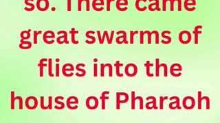 "God Sends Swarms of Flies as Judgment" exodus 8:24 #shortvideo #shorts #youtube #youtubeshorts #yt