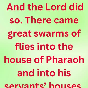 "God Sends Swarms of Flies as Judgment" exodus 8:24 #shortvideo #shorts #youtube #youtubeshorts #yt