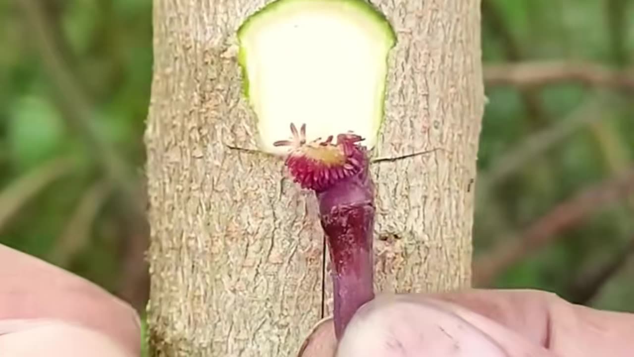 💡👍 This Simple Trick Will [Achieve Something] In Seconds! | LifeHacksDaily