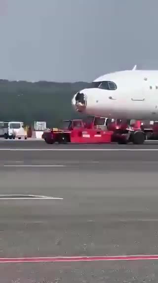 Tufa e zogjve përplaset me avionin në ajër