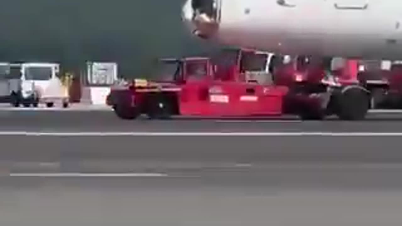 Tufa e zogjve përplaset me avionin në ajër