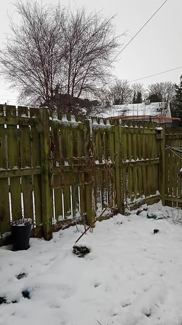 Is The Snow Finally Leaving?