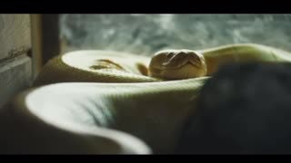 Is Ai the open door for demons to find their physical voices and bodies?