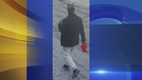 Police make arrest after teen walking to school abducted, sexually assaulted by black suspect