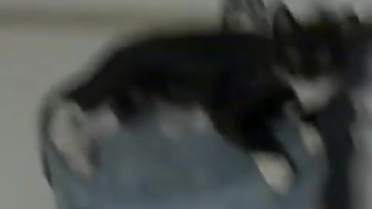 Thriller struggling to hide :)
