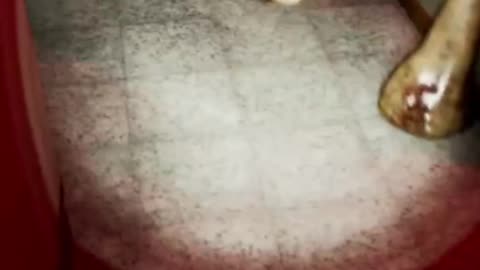 Inside The Backrooms Funny Moments | #insidethebackrooms #horror #horrorgames