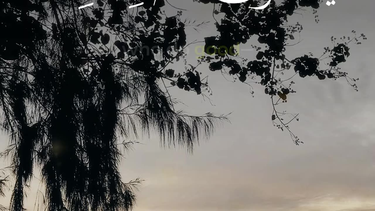 Surah Kahf Ayat 1-2 | Praise of Allah & Purpose of the Quran | Al Qamar Production