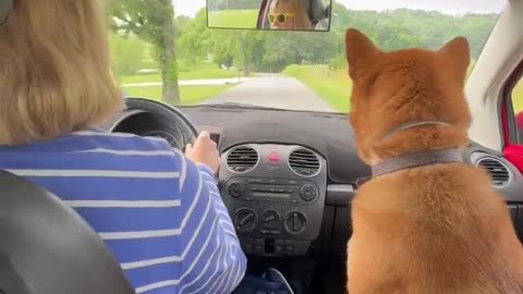How to Happy