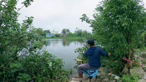 Tilapia Trends Feeding the Future