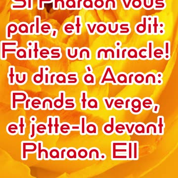 "Le Bâton de Moïse Devient un Serpent : Le Début de la Confrontation" Exode 7:9,10 #shorts #ytshorts
