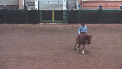 2025 Montana Reined Cow Horse Futurity