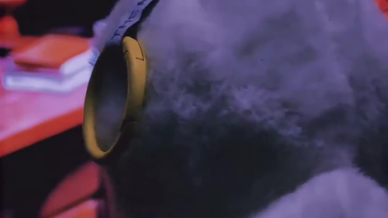 😂😈 The Exorcist- Lafufu Version #labubu #lafufu #theexorcist #scarymovie #jimparashkevov