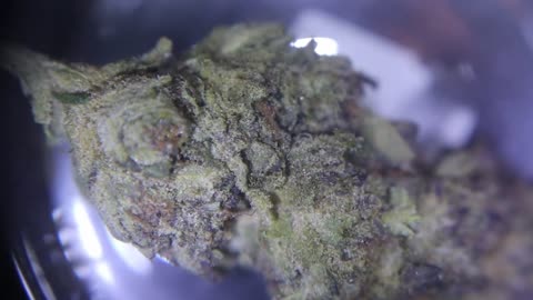 Gelato Review ep 44 old youtube