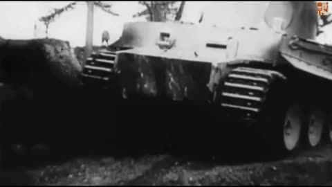 Tiger 1 in action