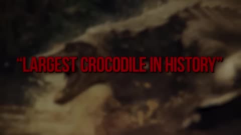 Was the Kraken Real? Ancient Monster Unearthed