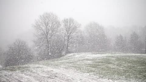 Serene Snow Carpeted Valleys & Gentle Flurries So