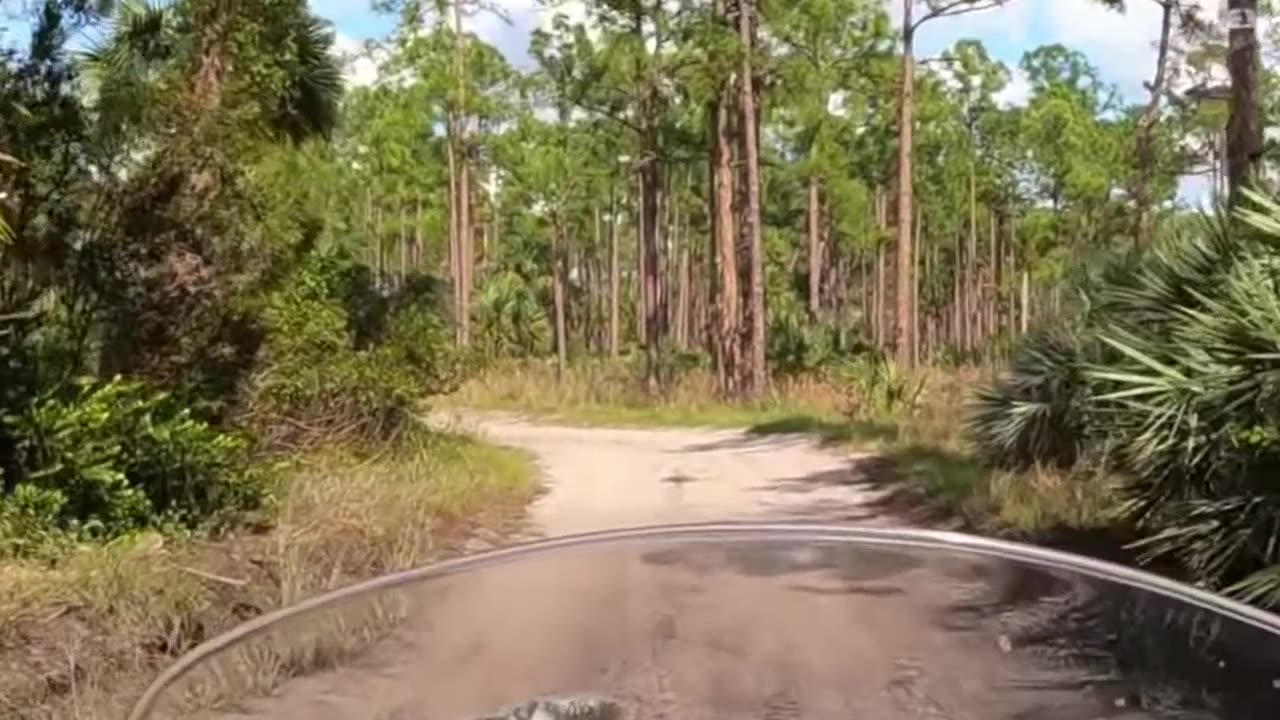 Adventure Riding