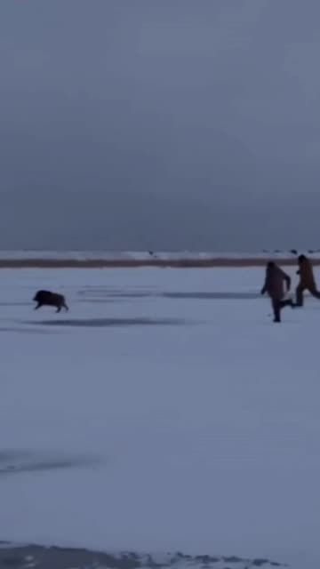 Ice fishing adventures continue 🤣🤣