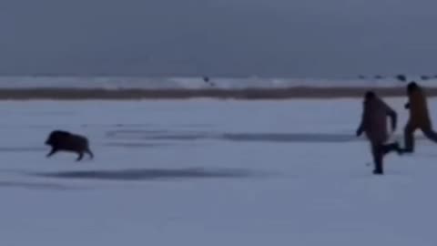 Ice fishing adventures continue 🤣🤣