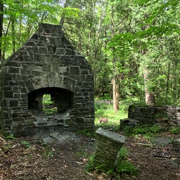 Found on the greenbelt trail. Very old and my not be standing for long.