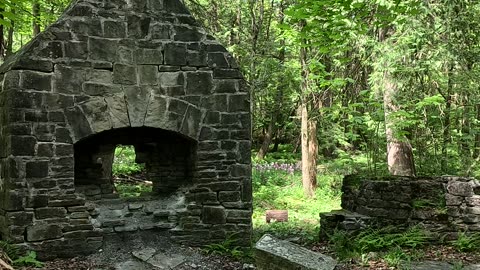 Found on the greenbelt trail. Very old and my not be standing for long.