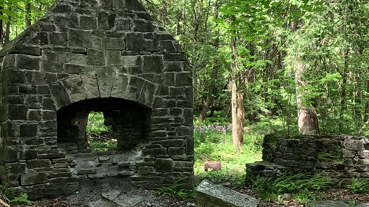 Found on the greenbelt trail. Very old and my not be standing for long.