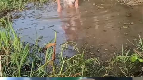 TRY NOT TO LAUGH 😆 Best Funny Videos Compilation 😂😁😆 Memes