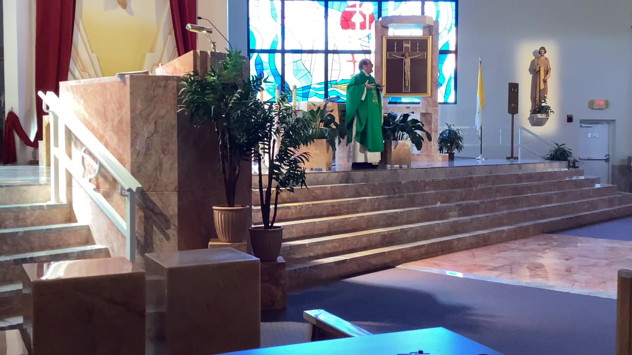 Father Martin Dunne homily 8/17/25 Luke 12:49-53