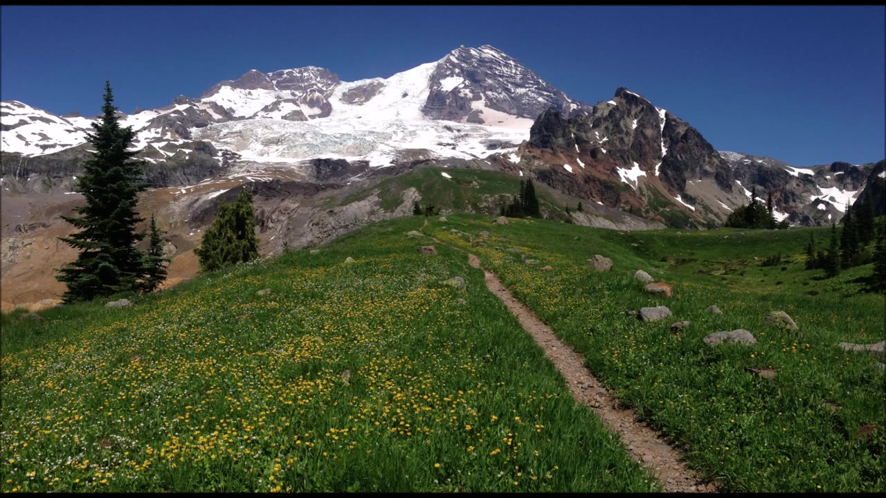 Mount Rainier - Emerald Ridge (Wonderland Trail)