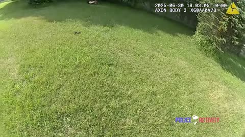 Bodycam Video Shows Suspect Fire at Michigan Deputy Before Being Shot