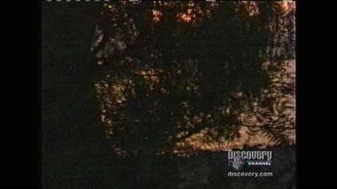 Who was Jesus? Part 1