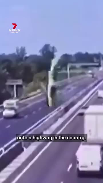 Shocking moment plane crashes into highway