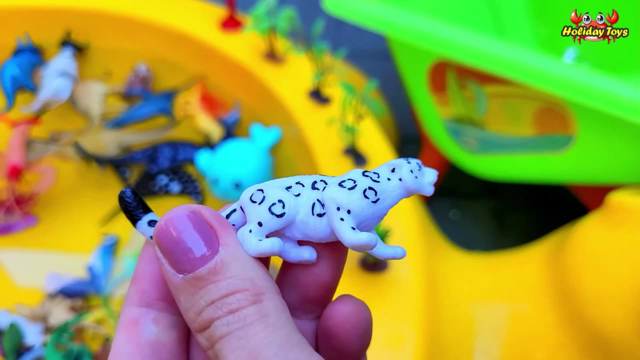 Bee Look for Orange Flowers in the Forest for Lunch