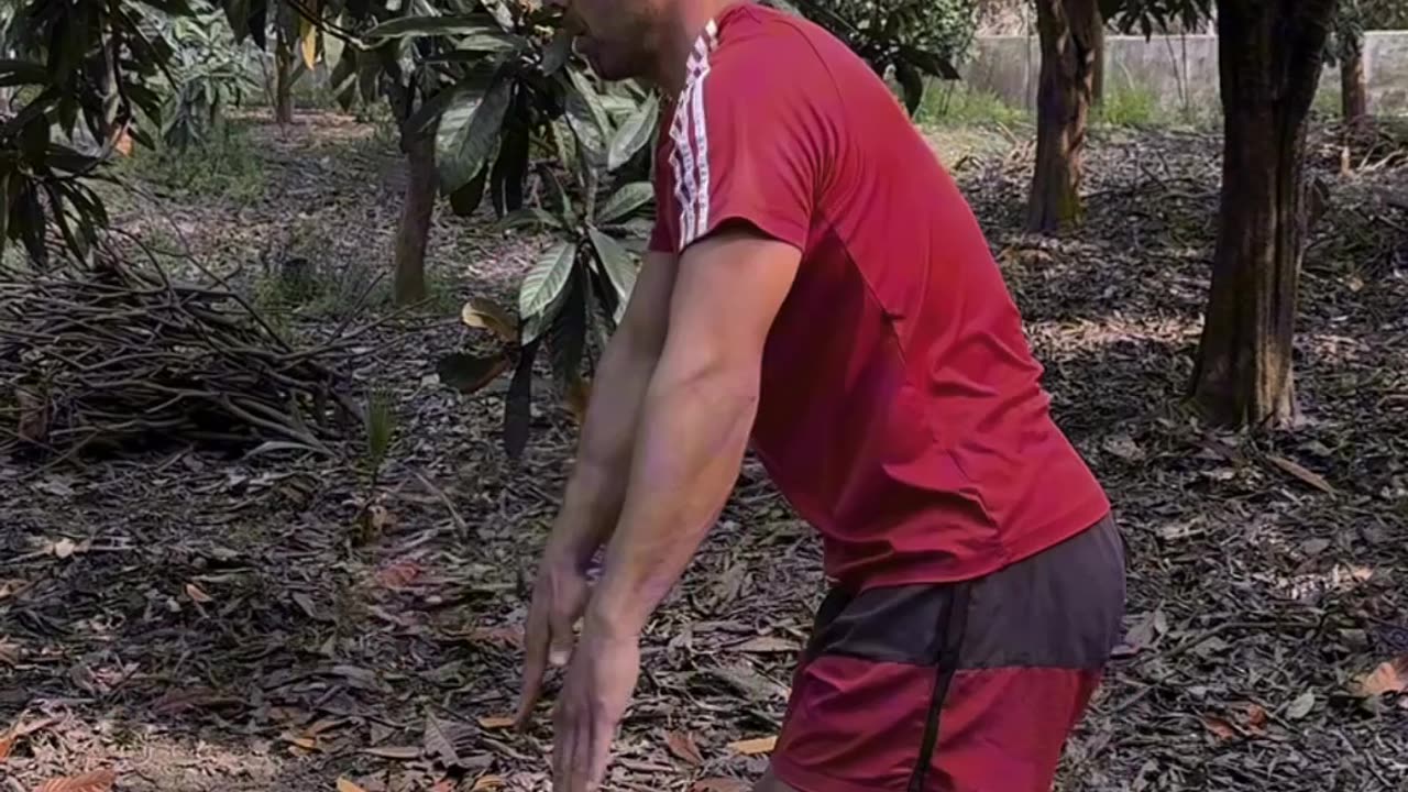 Pistol squat